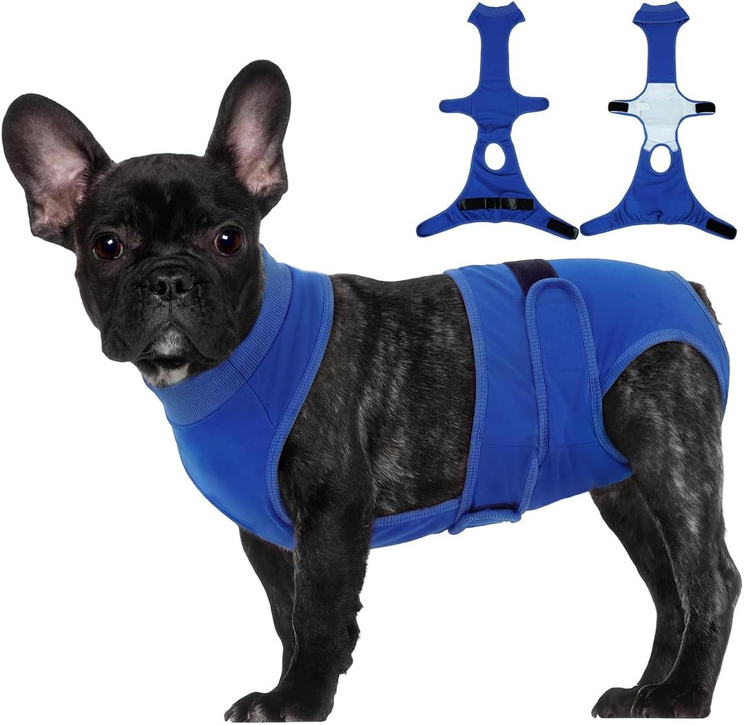 BRKURLEG Female Dog Diapers with Suspender, Washable & Reusable Fixed Diapers for Dogs in Heat, Incontinence & Special Needs, Adjustable Doggie Diaper for Small Medium Large Dogs, Blue S