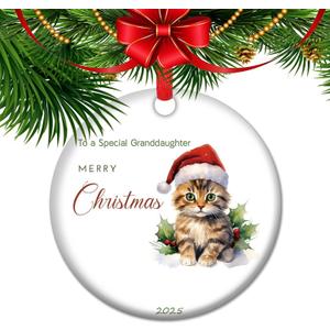 Cat Lover Christmas Ornament - 2025 Cat Mom Ornament, Christmas Keepsake for Family Friends Couple (V16)