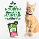 Greenies Cat Treats, Feline Smartbites, Skin & Fur Health, Crunchy and Soft Cat Treats, Salmon Flavor, 16 oz. Tub (EXP 09/09/27)