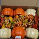 winemana Fall Decorations for Home - Set of 6 Artificial Pumpkin, Berry & Pine Cone Table Centerpiece for Office, Thanksgiving, Bathroom Kitchen Autumn Decor (Mixed-3)