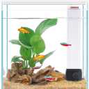 Pronetcus Betta Fish Tank, 2 Gallon Glass Aquarium Starter Kit, Small Fish Tank with Filter and Light.(White)