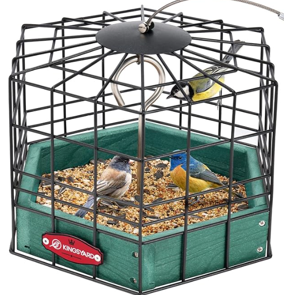 Kingsyard Squirrel Proof Platform Bird Feeders for Outdoor Hanging, 10" Wide Metal Caged Bird Feeder for Small Wildbirds Finches, Recycled Plastic Feeding Platform with Metal Seed Tray, Green