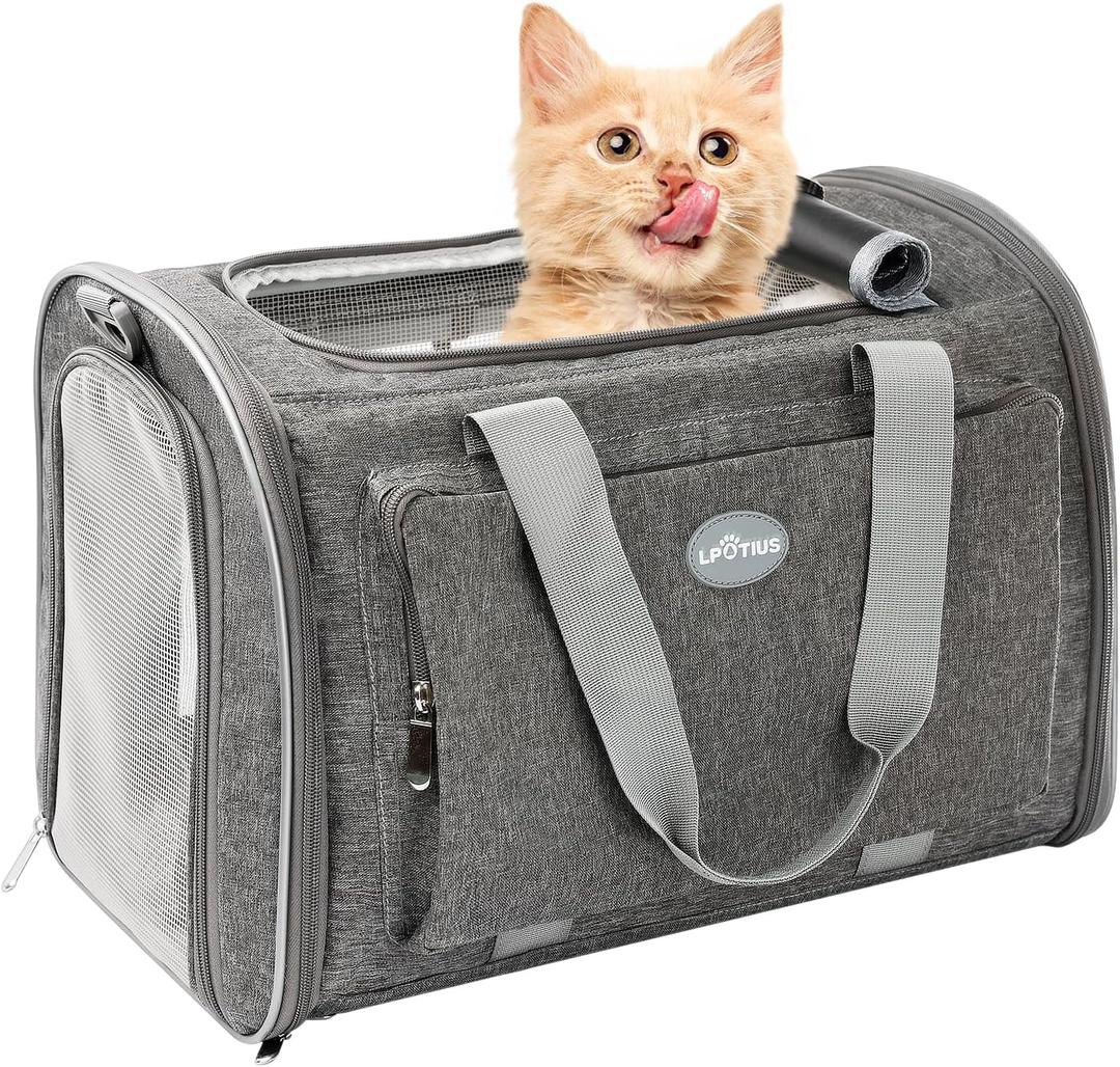 Foldable Cat Carrier Soft-Sided Pet Carrier for Small Dogs and Large Medium Cats, Airline Approved Travel Dog Carriers with Curtain, Pocket, Safety Leash and Cushion Pad, Gray