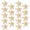 Yilloog 18 Pcs Starfish Hair Clips Mermaid Accessories Seashell Resin Starfish Beach Hair Clips Pins for Women Ladies Halloween Wedding Bridal Gifts