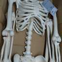 Crazy Bonez Original Pose-N-Stay Halloween Skeleton, 5 FT – Life-Size, Realistic, Fully Poseable Indoor & Outdoor Decoration, Durable Plastic Spooky Prop for Yard, Porch, Haunted House