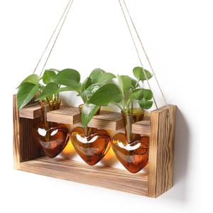 Plant Terrarium Propagation Stations Hydroponics Home Garden Decoration Gift for Women with Wooden Stand Heart Shaped Colored Glass Vase (Amber)