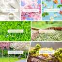 Spring Fragrance Oils Set of 14, MitFlor Premium Diffuser Essential Oils, Candle Making Scents, Aromatherapy Essential Oils Gift Set, Cherry Blossom, Garden Iris, Spring Bloom, 14x10ml