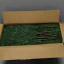 Rowfad 24 Pcs Artificial Norfolk Pine Branches, Faux Norfolk Pine Stems DIY Crafts Faux Christmas Norfolk Pine Branches for Xmas Indoor Outdoor Home Decor (24)