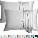 100% Silk Pillow Cases 2 Pack Standard Size Mulberry Silk Pillowcase for Hair and Skin Set of 2 Highest Grade 6A Silk Soft Breathable Cooling with Hidden Zipper, Light Grey