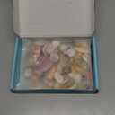 Sea Shells Mixed Beach Seashells 9 Kinds 1.2"-3.5 "Various Sizes Natural Seashells and 2 Kinds of Natural Starfish for Beach Themed Party DIY Crafts Fishtank Vase Fillers Home Wedding Decorations