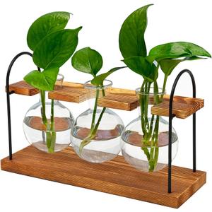 Plant Terrarium with Wooden Stand, The Ultimate Gift for Plant Lovers, Propagation Station with Retro Glass Bulbs, Creating a Stunning Tabletop Display of Hydroponic Greenery in Any Home or Office