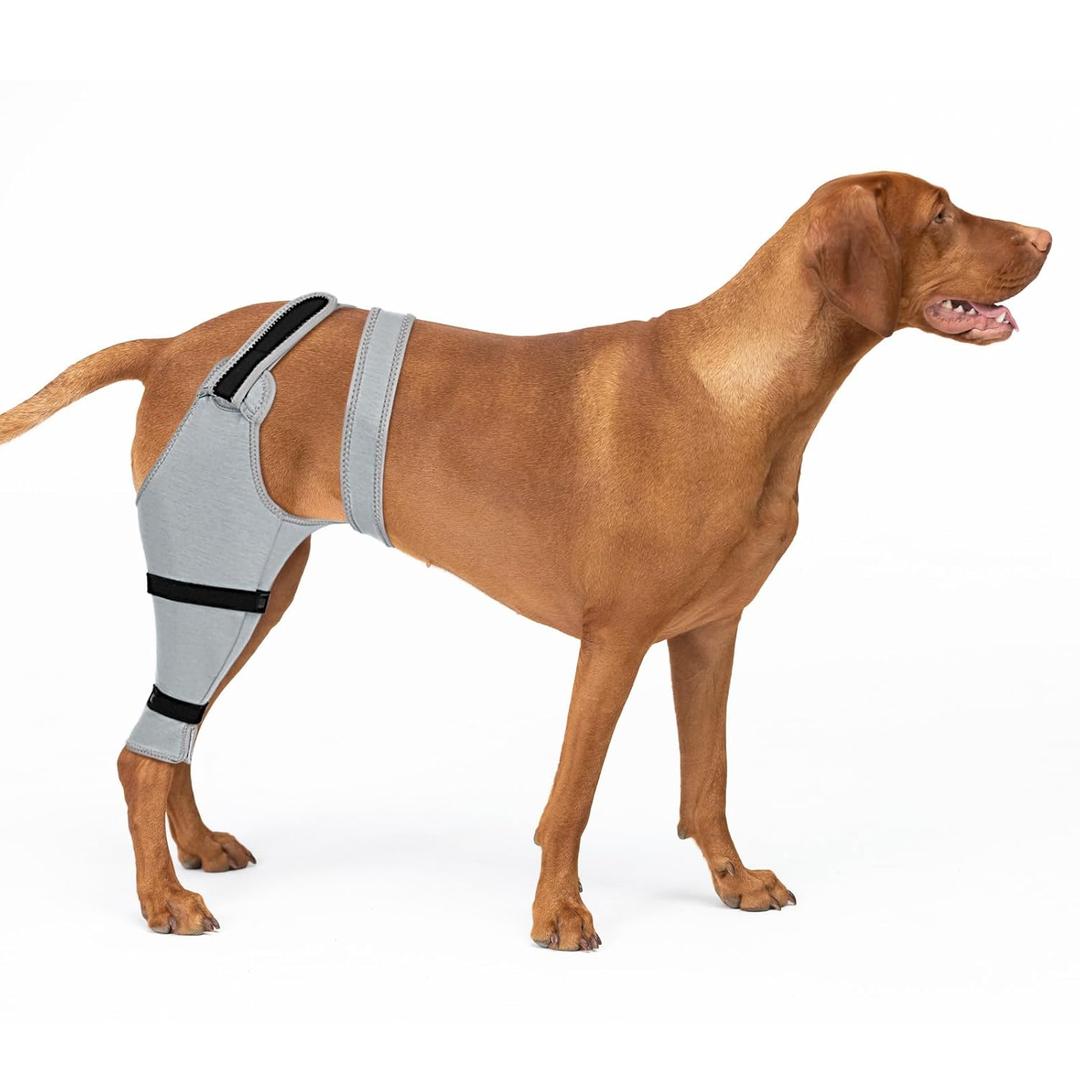 Dog Rear Leg Sleeve to Prevent Licking - Single Recovery Sleeve for Back Hind Leg, Wound Recovery After Surgery for Torn ACL/ CCL TPLO Surgery