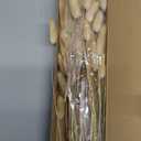 MECCANIXITY 120pcs Natural Rabbit Bunny Tails Dried Flowers 24" Mini Pampas Grass Lagurus Ovatus Bunch for Floral Wedding Decor Christmas, Beige