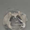 2025 New Female Pelvis Model,Life Size Female Pelvic Skeleton Model, Anatomy Medical Model for Science Education, Study of the Anatomical Features