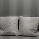 MIULEE 18x18 Inches Pillow Inserts Pack of 2, Decorative Throw Pillow Inserts for Couch