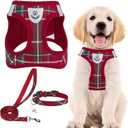 PUPTECK Adjustable Dog Harness Collar and Leash Set Step in No Pull Pet Harness for Small Medium Dogs Puppy and Cats Outdoor Walking Running, Soft Mesh Padded Reflective Vest Harnesses, Red M