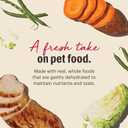 The Honest Kitchen Human Grade Wholemade Dehydrated Dog Food, Grain Free Chicken Dog Food, 4lb (makes 16lbs) (EXP 07/08/26)