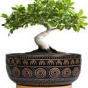 Eightpot Ceramic Bonsai Pots - 8 Inch Plant Pot for Succulent, Round Planter for Indoor Plants, Shallow Planters with Drainage Hole and Tray, Boho Bonsai Bowl, Living Room Decor, Black