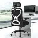 Home Office Desk Chairs, Ergonomic Office Chair with Lumbar Support & 3D Headrest, Computer Desk Chair with Flip-up Armrests, Perfect for Office or Study, Black/Silver