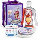 Science Can Human Body Model for Kids, Interactive Human Anatomy Talking Model - 11 Inch Realistic Anatomical Assembly Kit, 15PCS Removable Parts & Guide, Educational STEM Toys Gifts for Kids Aged 6+