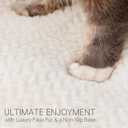 Soft Touch Faux Fur Dog Bed for Medium Size Dogs 6.5" Extra Thick, Orthopedic Pet Bed with Waterproof Liner and Washable Cover, with Removable Cute Pillow, Cream Color