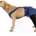 Coodeo Dog Recovery Suit, Cone Alternative - Abrasion Resistant, Waterproof & Washable 2.5mm Thick Sleeves to Prevent Licking, Biting Wounds (Blue, 2XL)