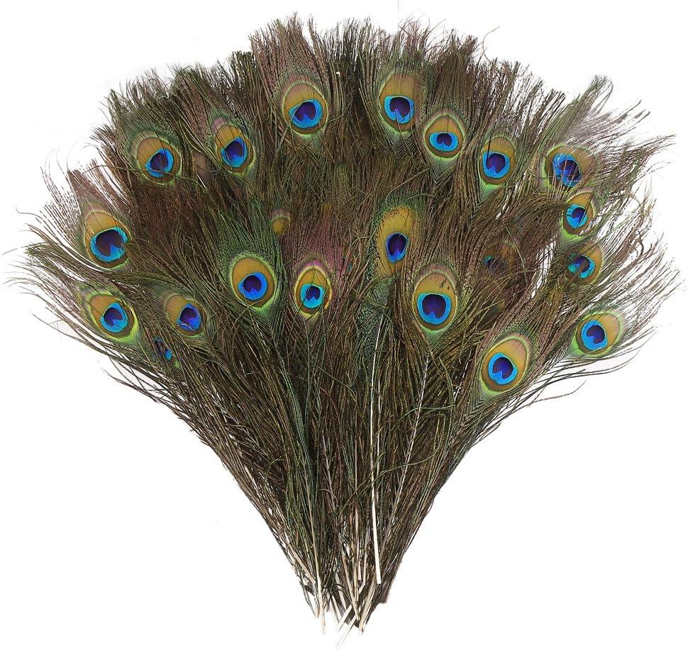 DECORA 100 Pieces Real Natural Peacock Feathers for Craft Halloween Costume Bridesmaid Corsage Christmas Wreath and Home Decor 10 Inch-12 inch
