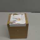 Turtle Succulent Pots with Middle Fingers Up, Middle Finger Gifts, Prank Flower Pot Resin for Indoor Outdoor