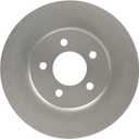 Raybestos 980290FZN Rust Prevention Technology Coated Rotor Brake Rotor, 1 Pack