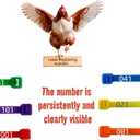 Vibrant 120Pcs Chicken Leg Bands-Easily Identify Your Poultry with Colorful Leg Bands-Durable and Laser Engraved for Long-Lasting Visibility-Perfect for Chicken,Duck,and Goose Owners
