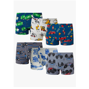 Family Feeling Little Boys' Cotton Boxer Brief Soft Underwear 6 pcs 120