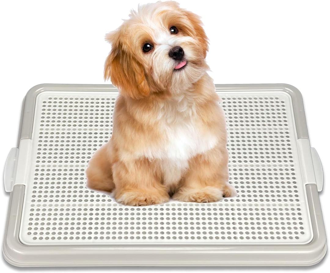 Dog Pee Pad Holder Tray, Puppy Potty Training, 22.5"x16.5", PP Plastic, Snap Lock, 4 Colors (Gray)