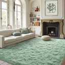 FinRec Light Green Rug for Bedroom Living Room, 4x6 Feet Fuzzy Shaggy Area Rug, Non-Slip Fluffy Furry Rugs for Kids Room Dorm Room Home Decor, Indoor Plush Floor Carpet