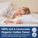 Goose Feather Pillows Queen Size Set of 2 - Hotel Collection Bed Pillows for Sleeping 2 Pack, 700 TC Organic Cotton Shell, Soft Support for Back, Stomach or Side Sleepers, Queen/Full, 18"x30"