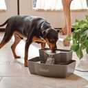 PetSafe Multi-Tier Pet Fountain Large Waterer Great for Cats and Dogs 2 Heights to Drink from Great for Senior Pets 100 Oz Water Capacity Fresh, Filtered Water