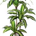 Ferrgoal Artificial Plants, 5 Ft Dracaena Tree Faux Plants Indoor Outdoor Decor Fake Tree with Woven Seagrass Basket Plants for Home Decor Office Living Room Porch Patio Housewarming