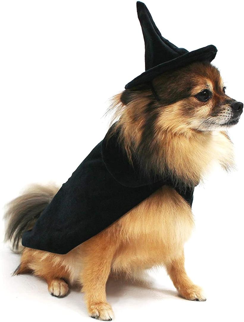 Midlee Halloween Witch Cape and Hat Dog Costume (Large)