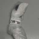 Rypet Cat Halloween Costume Halloween Cat Collar with Bells and Halloweens Pumpkin Hat Cats Costume Suit for Cats and Small Dogs