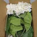 5Pcs Realistic White Hydrangea Artificial Flowers with Stems 21 Inch Lifelike Faux Hydrangeas Flower Large Hydrangea for Weddings Bouquets Table Centerpieces Home Decor Party