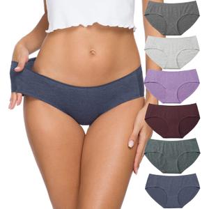 Altheanray Womens Underwear Cotton Underwear for Women Seamless Hipster Bikini Briefs Panties 6 Pack (Medium)