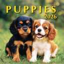 2026 Puppies Hangable Wall Calendar Cute Funny Dog Photo Gifts Puppy Dogs Photography Large Full Page 16 Months for Organizing & Planning Gift for Her (2026 Puppies)