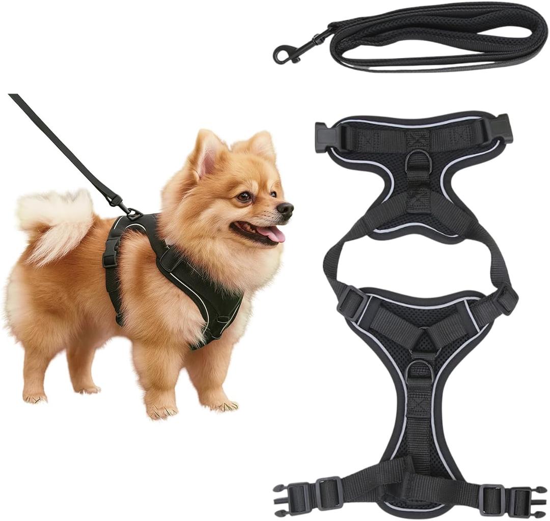 Black Chest and Back Cover No-Pull Dog Harness and Leash Set  Adjustable Reflective Soft Padded Pet Vest for Walking & Training (Small)