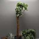GTIDEA 6ft Artificial Tree Ficus, Tall Faux Trees Indoor with Natural Trunk and Fake Silk Tree Fake Plants for Home Winter Decor Living Room Outdoor Balcony House Office (Included Dried Moss)