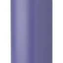 Owala FreeSip Water Bottle, 24oz, Blue Jay Colour