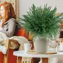 8 PCS Norfolk Pine Branches,21.6 Inch Artificial Green Pine Stem,Real Touch Faux Christmas Greenery Pines Picks for Vase DIY Flower Arrangement Garland Wreath Home Decoration