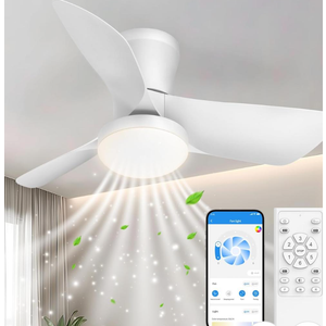 Ceiling Fans Lights with APP & Remote Control: 30 Inch Low Profile Ceiling Fans with Lights Reversible Small Flush Mount Ceiling Fan 3 Colors Quiet 6 Speeds Ceiling Fan for Bedroom Livingroom Kitchen