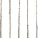 5 Pcs White Birch Poles 4 ft 1.5-2.5" Diameter Natural Wood Sticks