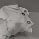 White Sheer Curtains 84 inches Long - Home Decoration Grommet Airy & Lightweight Elegant Window Treatments with Light Filtering for Bedroom/Living Room (2 Panels, W52 x L84)