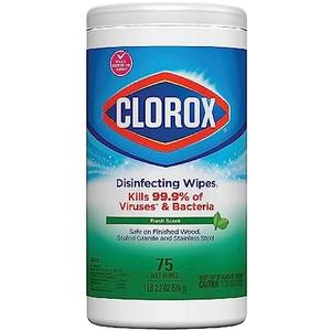 Clorox Disinfecting Wipes Disinfecting Fresh Scent Canister 75 Count