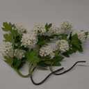 DILATATA Faux Hydrangea Flowers 31" Cream Artificial Hydrangea Spray with 5 Flower Heads, 3 Per Bag.Faux Hydrangeas Plastic Flowers Fake Hydrangeas for Indoor Outdoor Wedding Table Centerpieces Decor (Cream #97)